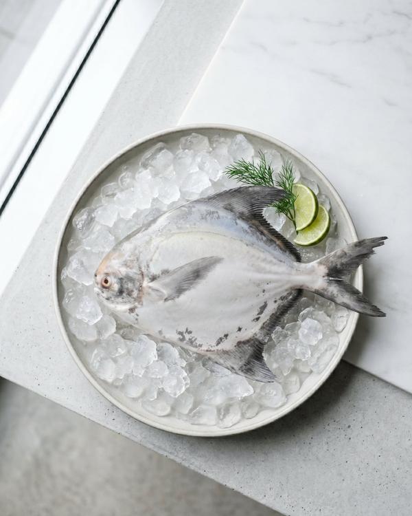 Chinese Pomfret