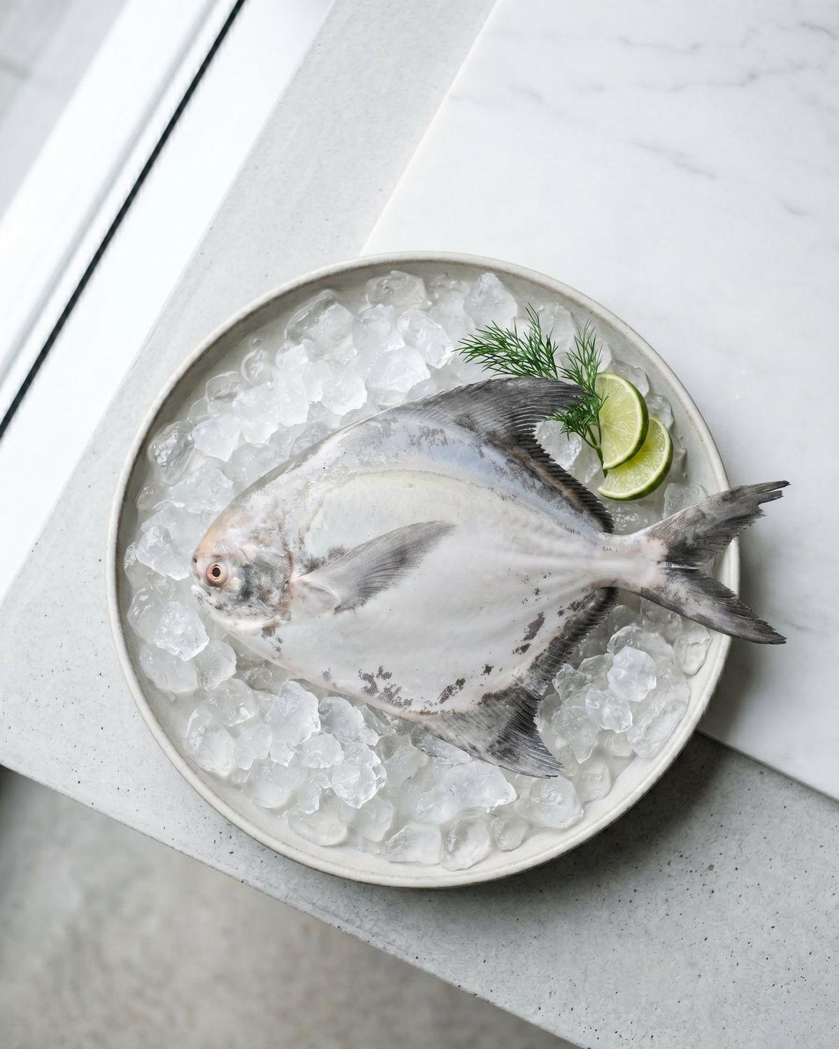 Chinese Pomfret