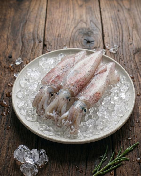 Squid (Sotong)